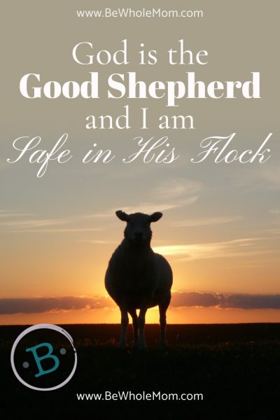 God is the Good Shepherd and I am Safe in His Flock